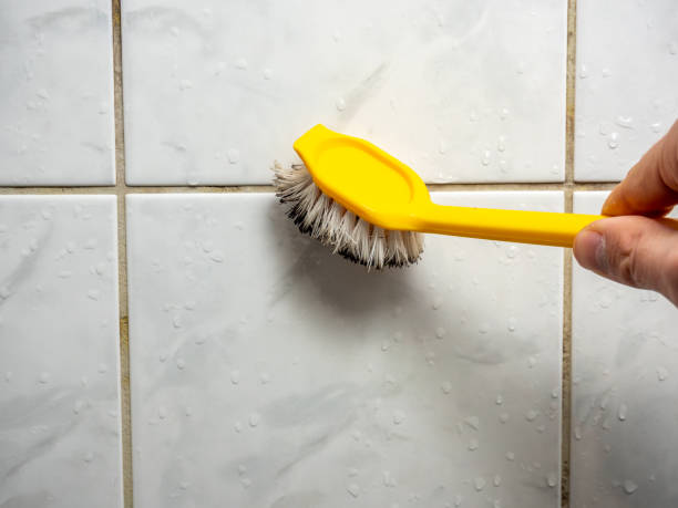 Best Black Mold Removal  in St Charles, IL