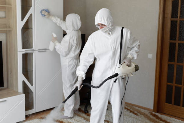 Best Toxic Mold Removal  in St Charles, IL