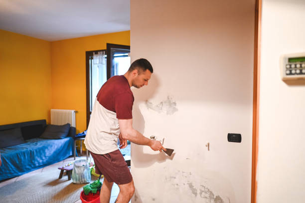Trusted St Charles, IL Mold Removal Experts